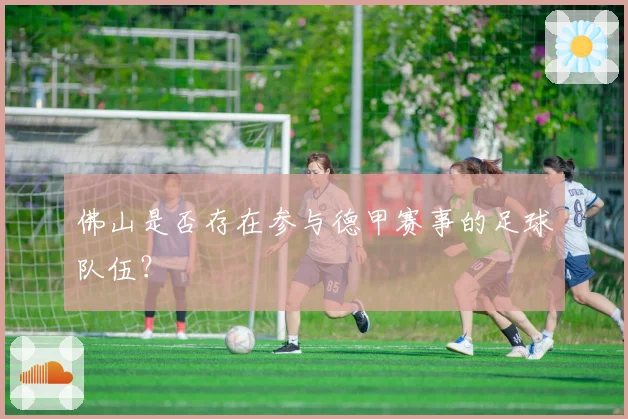 佛山是否存在参与德甲赛事的足球队伍？