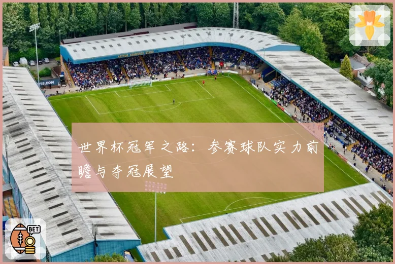 世界杯冠军之路：参赛球队实力前瞻与夺冠展望