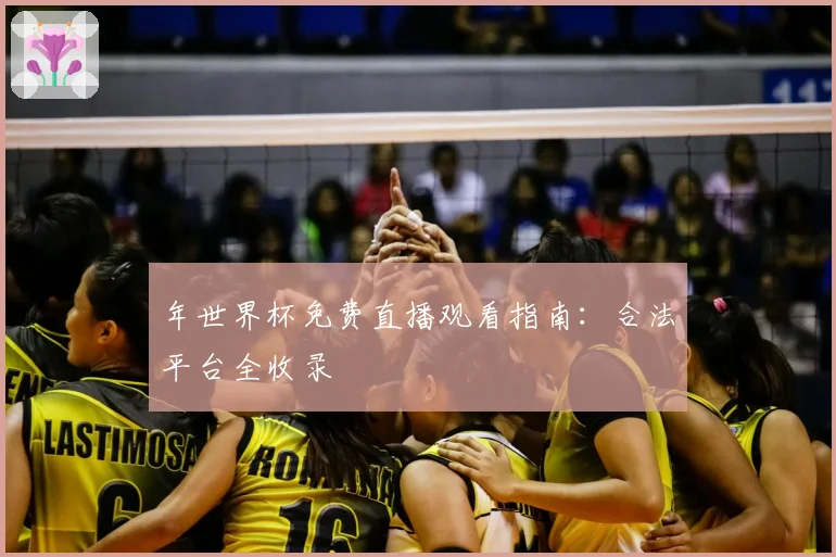 年世界杯免费直播观看指南：合法平台全收录