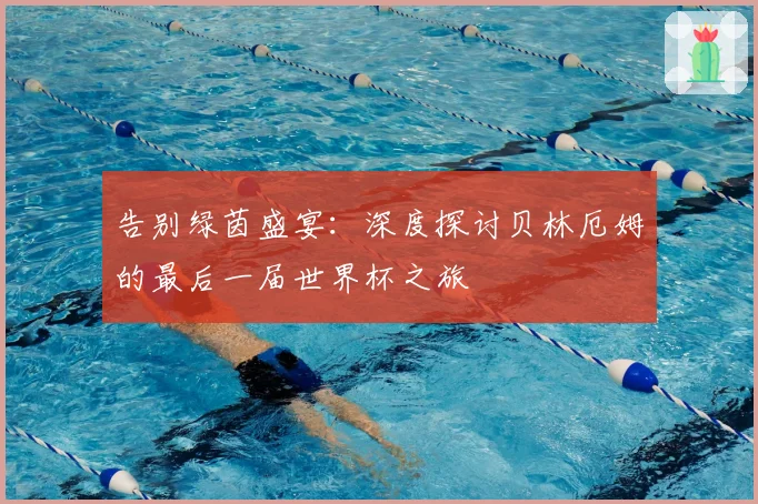 告别绿茵盛宴：深度探讨贝林厄姆的最后一届世界杯之旅