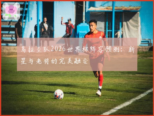 乌拉圭队2026世界杯阵容预测：新星与老将的完美融合