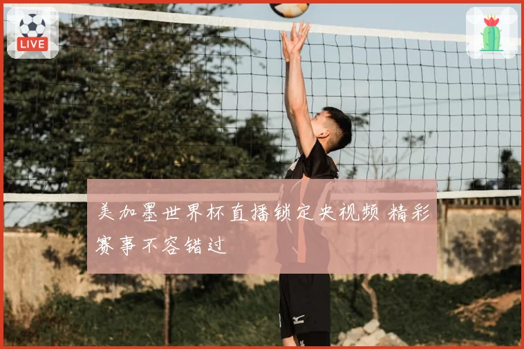美加墨世界杯直播锁定央视频 精彩赛事不容错过