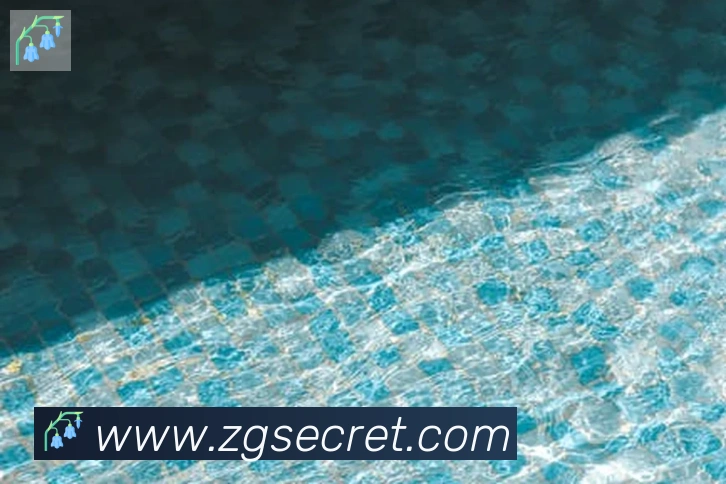 开云app发展历程