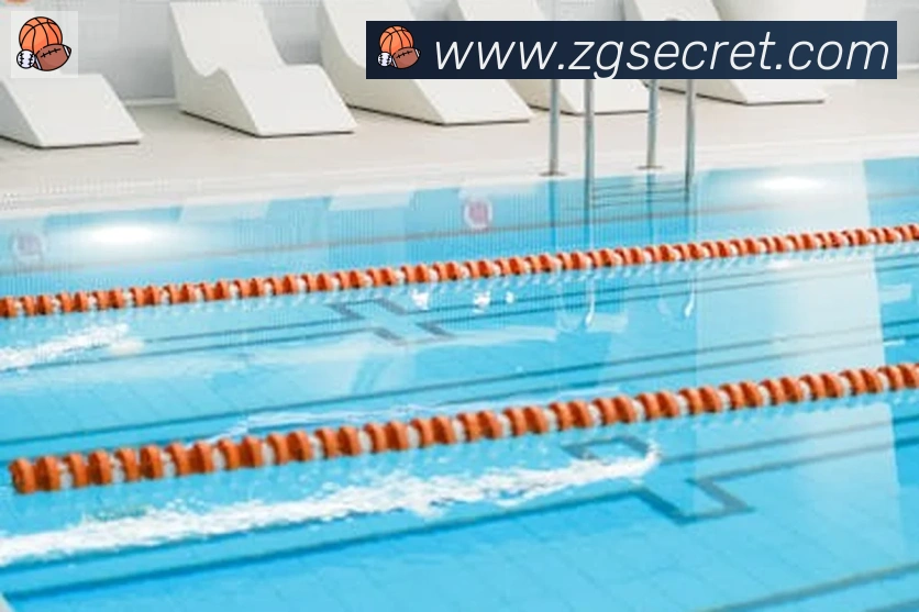 App Interface Preview