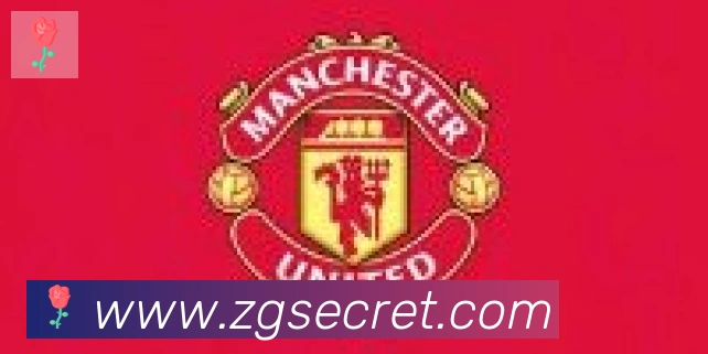 开云app合作伙伴