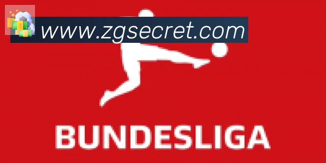 开云app合作伙伴