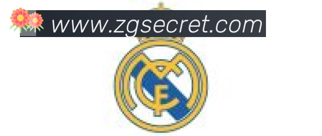 开云app合作伙伴